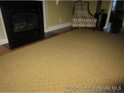 681 Polenta Rd, Smithfield, NC 27577 photo 6
