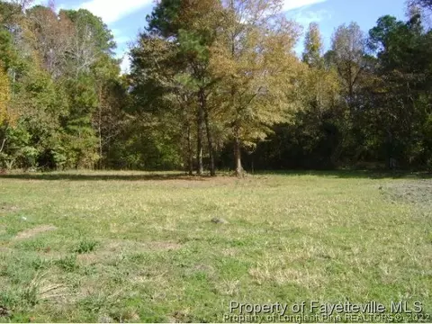 158 Bunnlevel Erwin Rd, Bunnlevel, NC 28323 photo 2