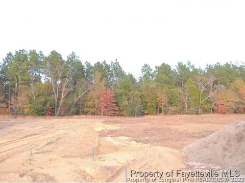 425 Tyner Ave, Pinebluff, NC 28373 photo 7