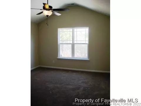 141 Angel Oak Dr, Bunnlevel, NC 28323 photo 15