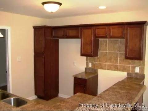 141 Angel Oak Dr, Bunnlevel, NC 28323 photo 6