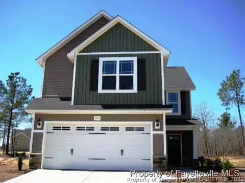 141 Angel Oak Dr, Bunnlevel, NC 28323 photo 1