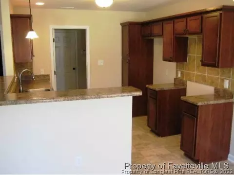 141 Angel Oak Dr, Bunnlevel, NC 28323 photo 8