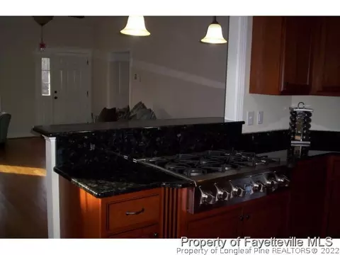 116 Mossburg Ct, Bunnlevel, NC 28323 photo 5