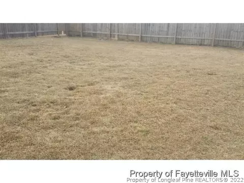 102 Silverberry Ct, Raeford, NC 28376 photo 2