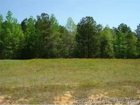 207 Braddock Dr, Lillington, NC 27546 photo 23