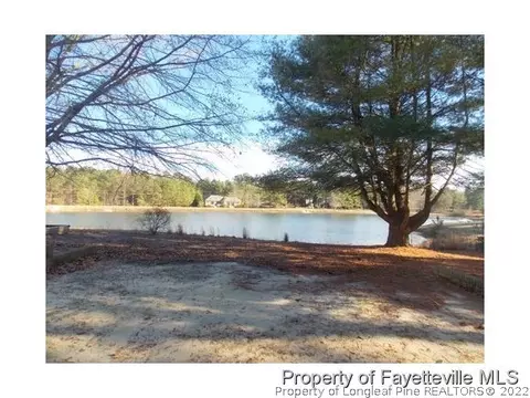 120 Fox Run, West End, NC 27376 photo 24