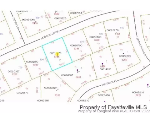 810 Monticello Dr, Pinehurst, NC 28374 photo 2