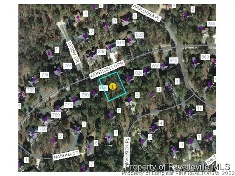 810 Monticello Dr, Pinehurst, NC 28374 photo 3