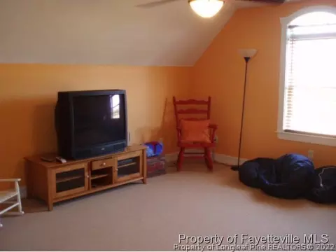 1394 Bay Tree Dr, Harrells, NC 28444 photo 20