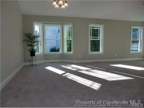 46 Cambridge Dr, Angier, NC 27501 photo 11