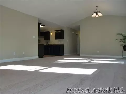 46 Cambridge Dr, Angier, NC 27501 photo 12
