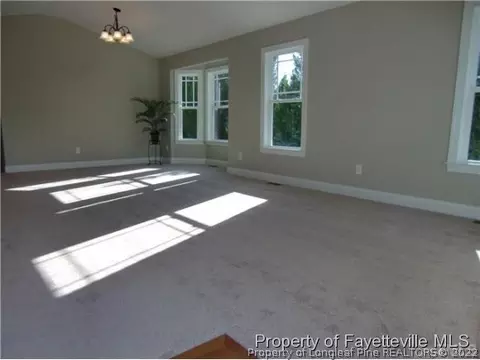 46 Cambridge Dr, Angier, NC 27501 photo 10