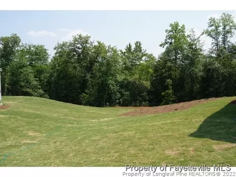 112 Judiciary Ct, Cameron, NC 28326 photo 22