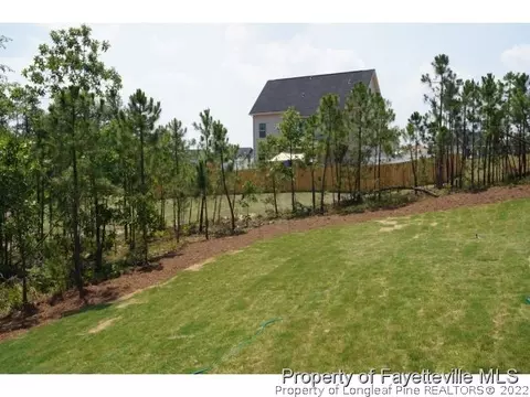 112 Judiciary Ct, Cameron, NC 28326 photo 23