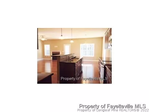 8725 Nc 210 S, Bunnlevel, NC 28323 photo 4