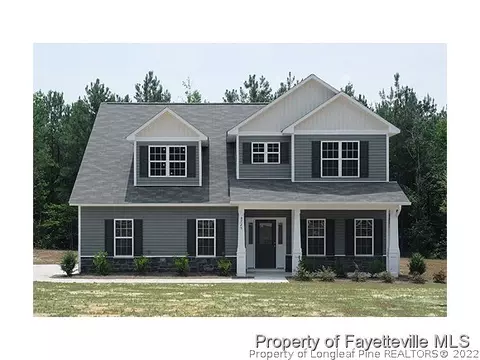 8725 Nc 210 S, Bunnlevel, NC 28323 photo 1