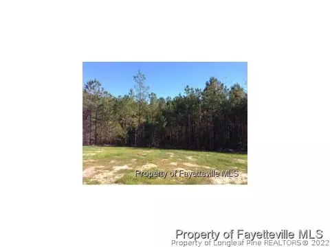 8695 Nc 210 S, Bunnlevel, NC 28323 photo 24