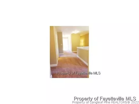 8695 Nc 210 S, Bunnlevel, NC 28323 photo 19