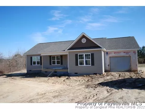 10 Brookview Ct, Angier, NC 27501 photo 1
