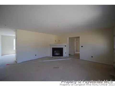 10 Brookview Ct, Angier, NC 27501 photo 3