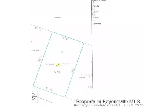 435 Tyner Ave, Pinebluff, NC 28373 photo 14