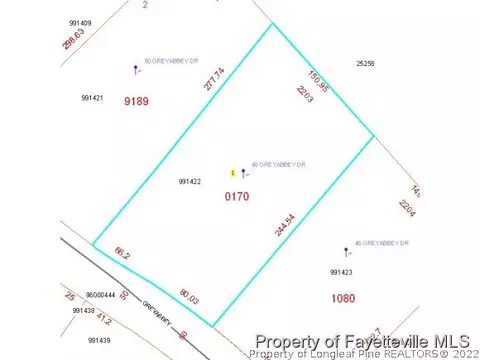 48 Greyabbey Dr, Pinehurst, NC 28374 photo 23