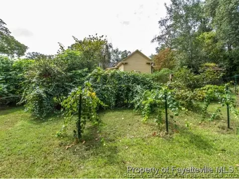 524 Carthage St, Cameron, NC 28326 photo 15