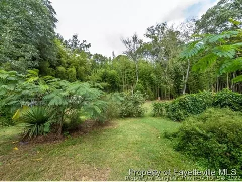 524 Carthage St, Cameron, NC 28326 photo 14