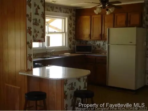 7014 Powell St, Wade, NC 28395 photo 4