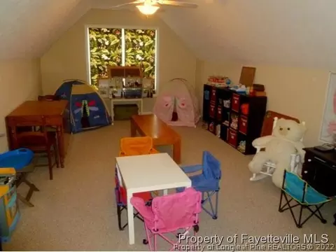 100 Falling Leaf Dr, Raeford, NC 28376 photo 19