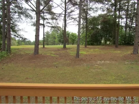 66 Pond Frst, Cameron, NC 28326 photo 5