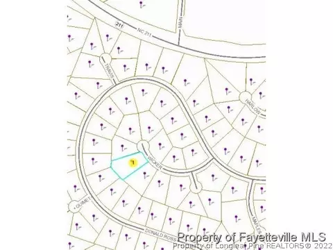 10 Wicker Ln, Pinehurst, NC 28374 photo 23