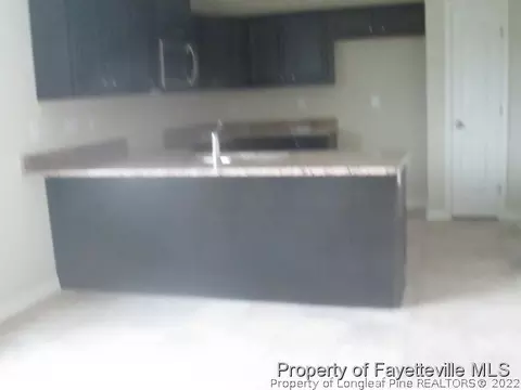 76 Ashcott Dr, Angier, NC 27501 photo 5