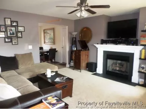 175 Abram Ct, Broadway, NC 27505 photo 6