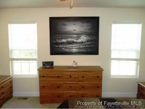 175 Abram Ct, Broadway, NC 27505 photo 18