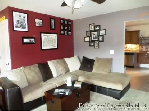 175 Abram Ct, Broadway, NC 27505 photo 8