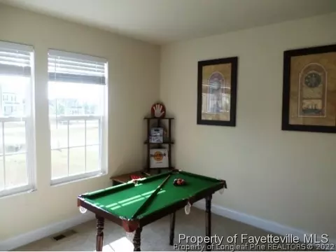 175 Abram Ct, Broadway, NC 27505 photo 15