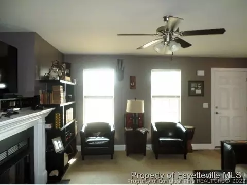 175 Abram Ct, Broadway, NC 27505 photo 9