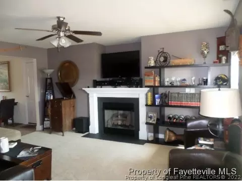 175 Abram Ct, Broadway, NC 27505 photo 5