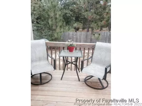 175 Abram Ct, Broadway, NC 27505 photo 23
