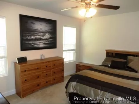 175 Abram Ct, Broadway, NC 27505 photo 17
