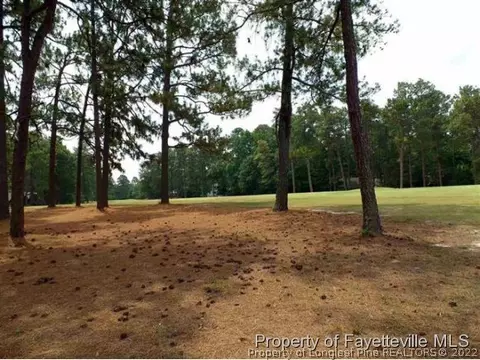 55 Eldorado Ln, Pinehurst, NC 28374 photo 23