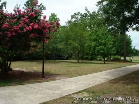 6024 Smithfield Rd, Wade, NC 28395 photo 9