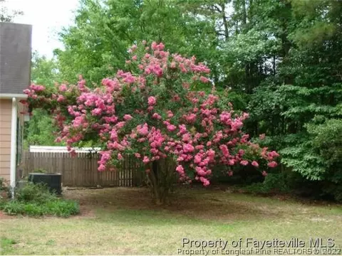 6024 Smithfield Rd, Wade, NC 28395 photo 10