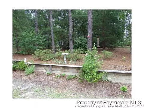 189 W Devonshire Ave, West End, NC 27370 photo 9