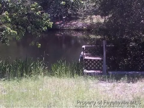 72 Blue Heron Dr, Harrells, NC 28444 photo 15