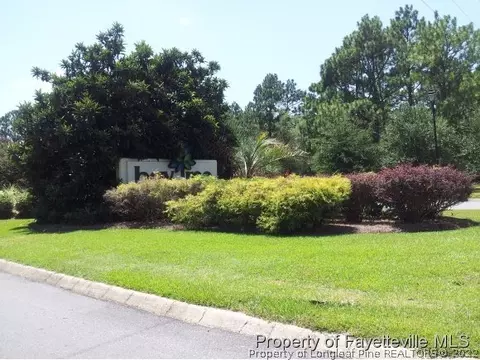 72 Blue Heron Dr, Harrells, NC 28444 photo 16