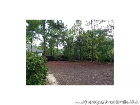 185 Wheeling Dr, Pinehurst, NC 28374 photo 21