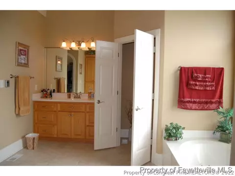 101 White Tail Path, Erwin, NC 28339 photo 22